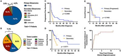 Evaluating Surgical Resection Extent and Adjuvant Therapy in the Management of Gliosarcoma